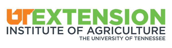 UT-EXTENSION-LOGO